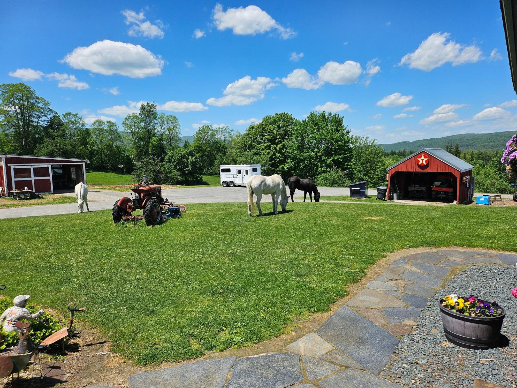 Clover Hill Farm & Country Inn Williamstown Exterior foto